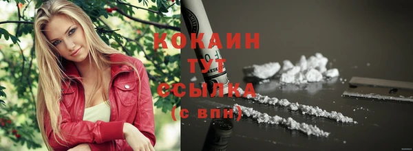 круглые Абаза