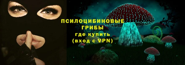 круглые Абаза