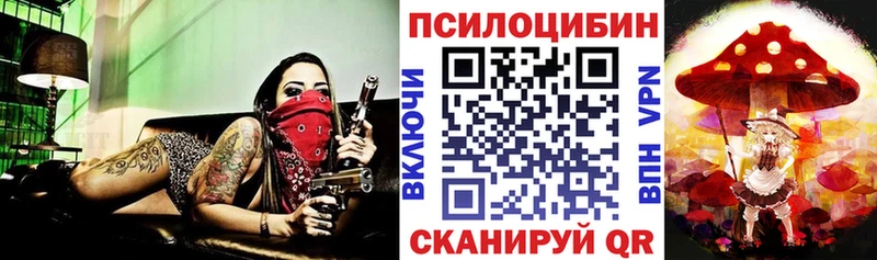 Галлюциногенные грибы Psilocybine cubensis  Иваново 